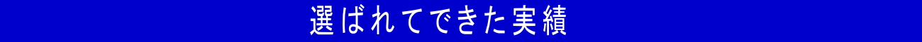 選ばれてできた実績