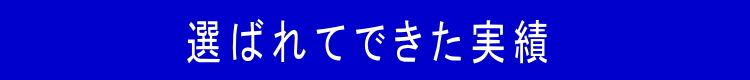 spe選ばれてできた実績